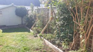 Sunny Garden- click for photo gallery